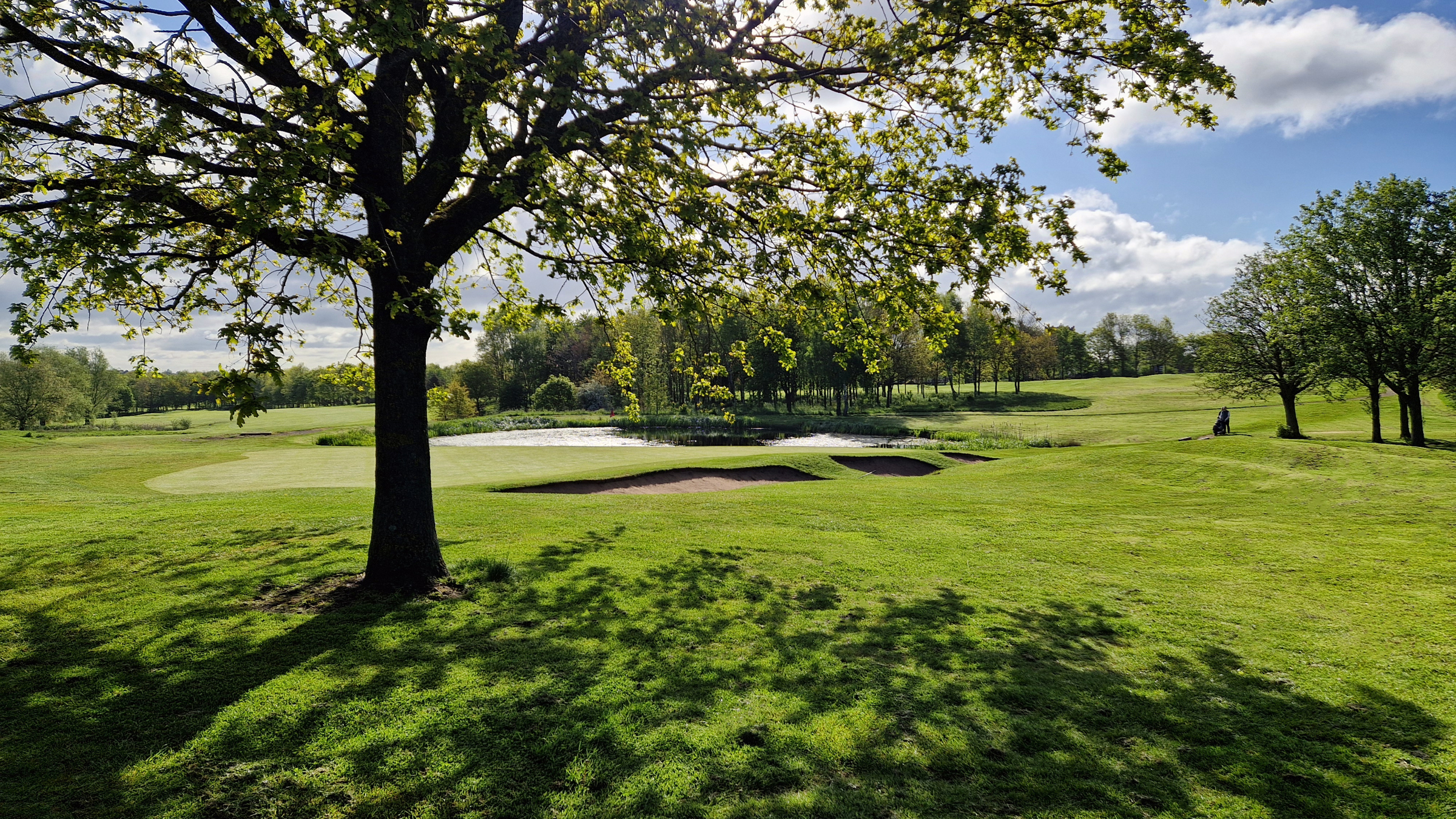 A view of the lake and 7th green at The Manor Leeds. There is a large tree casting shade in the foreground.
